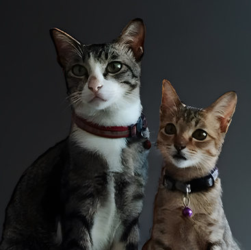 NUNG & SARAH