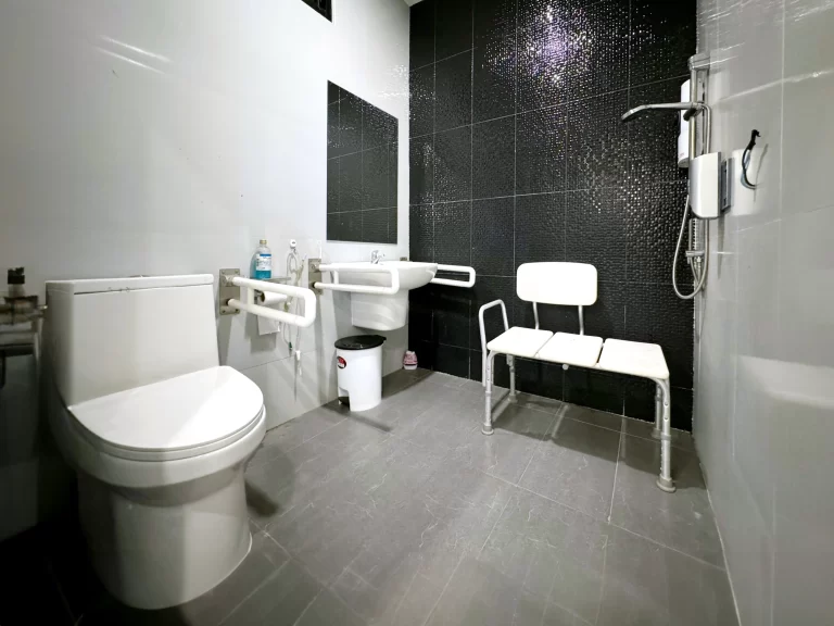 Disabled toilet