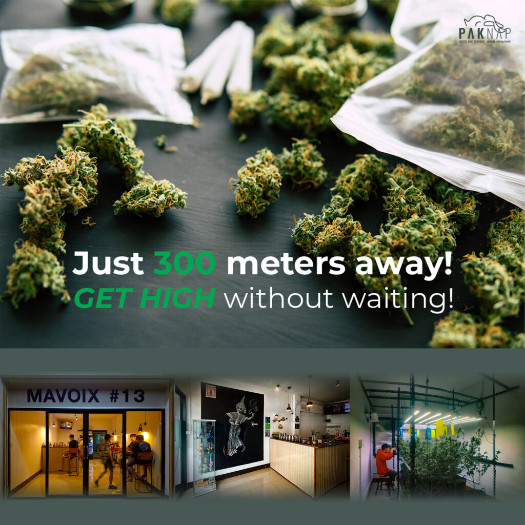 Experience legal cannabis in a licensed shop.